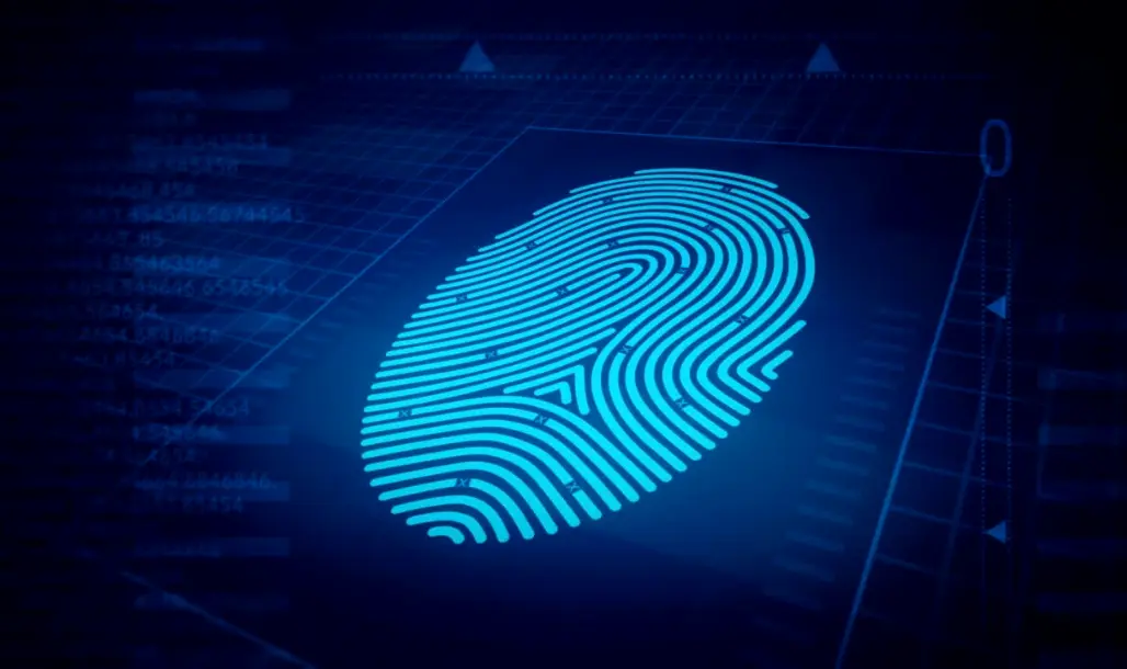 Browser Fingerprinting & GDPR Compliance: What Businesses Need to Know Before Deploying this Analytics Practice - Microanalytics.io